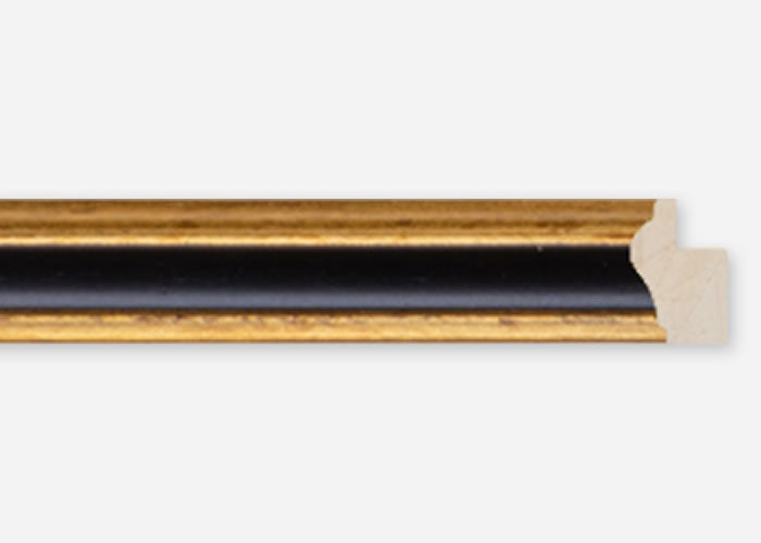 Custom Frame CFSQ2014x