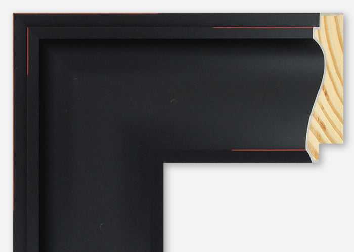 Custom Frame CFSZ2015