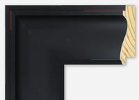 Custom Frame CFSZ2015