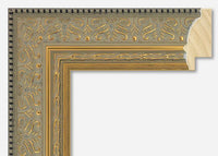 Custom Frame CFSZ0204