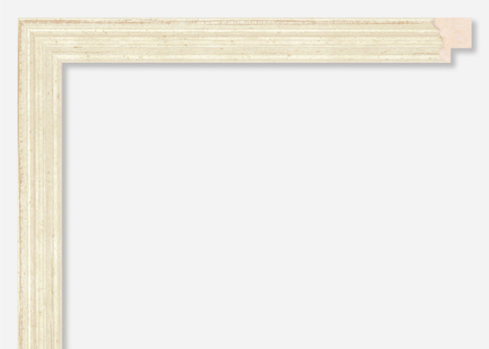 Custom Frame CFSX2300-05x