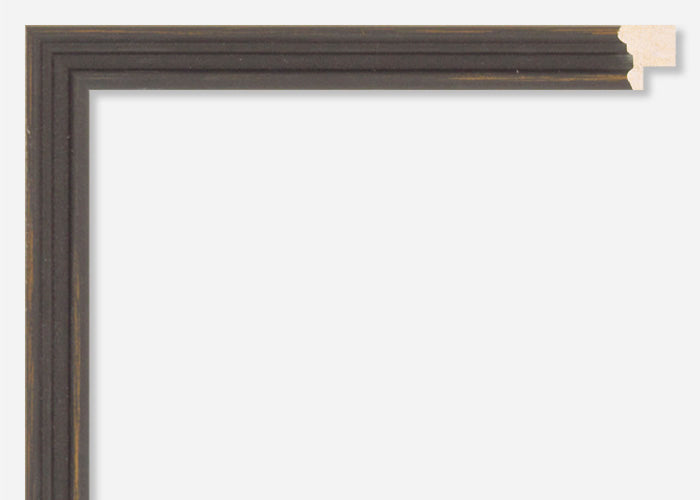 Custom Frame CFSX2300-10x