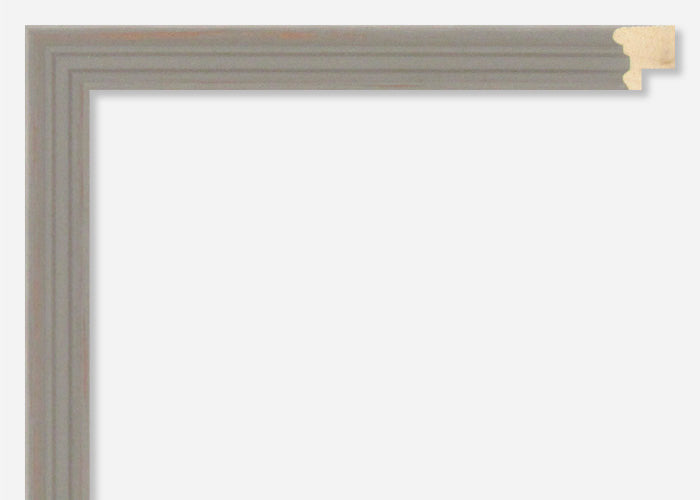 Custom Frame CFSX2300-15x