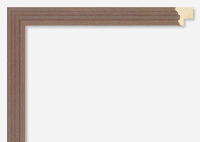 Custom Frame CFSX2300-20x