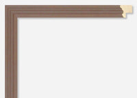 Custom Frame CFSX2300-20x