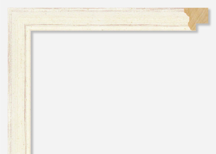 Custom Frame CFSX2300-25