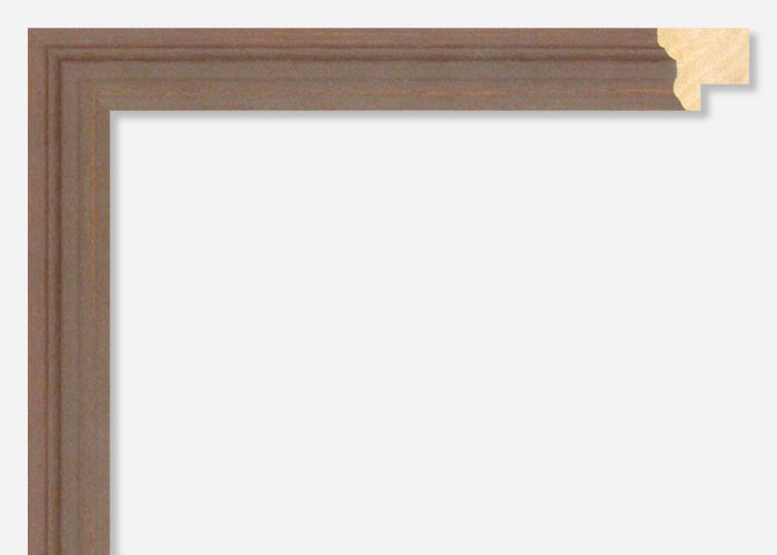 Custom Frame CFSX2300-40