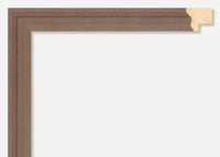 Custom Frame CFSX2300-40