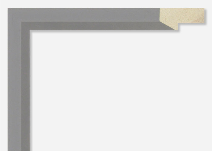 Custom Frame CFSX2300-70