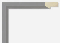 Custom Frame CFSX2300-70