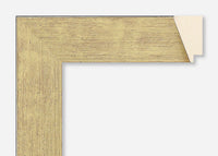 Custom Frame CFSY231-6007