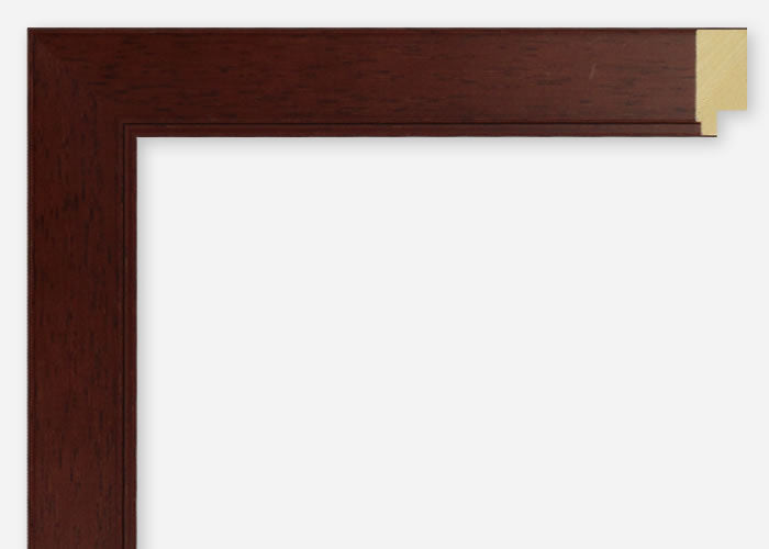 Custom Frame CFSX2410-15