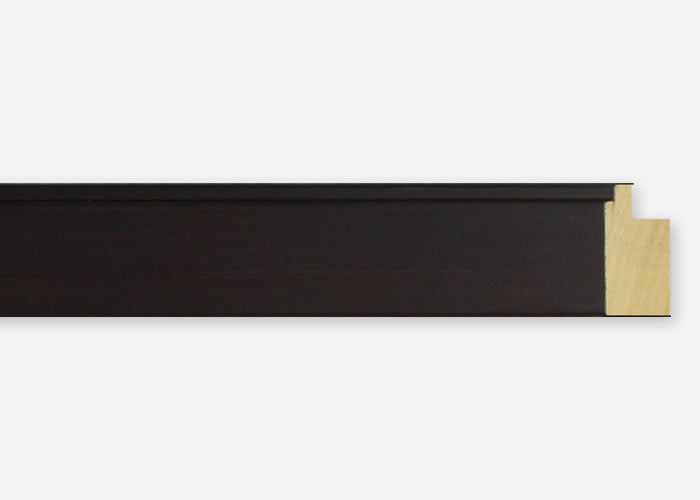 Custom Frame CFSX2410-20