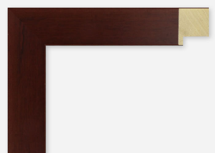 Custom Frame CFSX2410-40