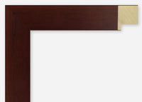 Custom Frame CFSX2410-40