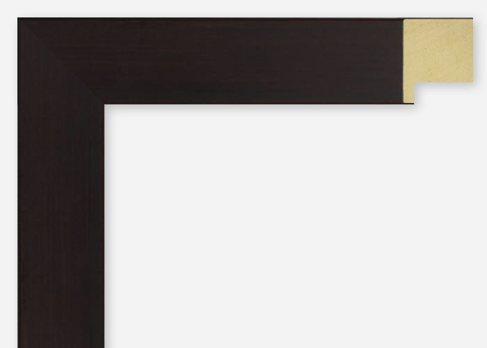 Custom Frame CFSX2410-45