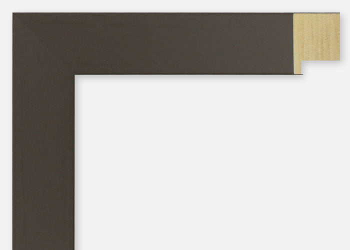 Custom Frame CFSX2410-50