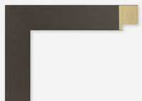 Custom Frame CFSX2410-50