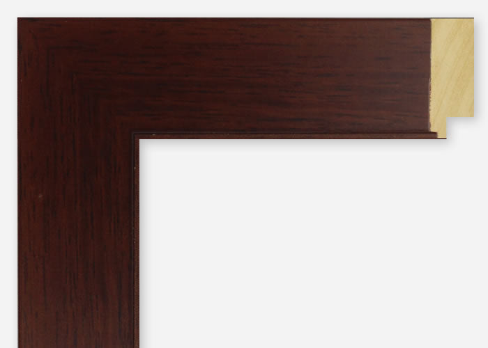 Custom Frame CFSX2410-90
