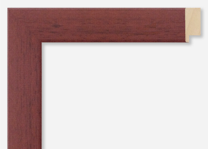 Custom Frame CFSX2425-10