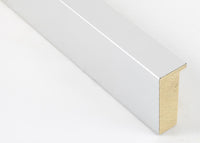 Custom Frame CFSX2425-30