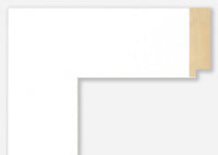 Custom Frame CFSX2430-20