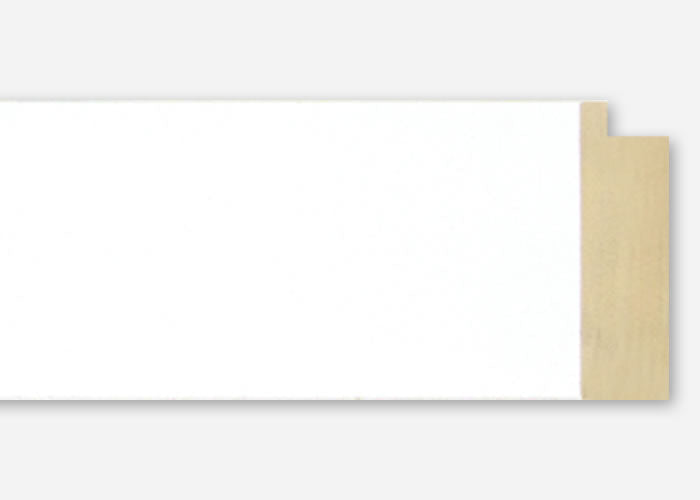 Custom Frame CFSX2430-20