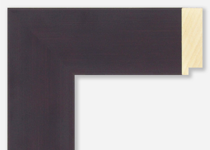 Custom Frame CFSX2430-50