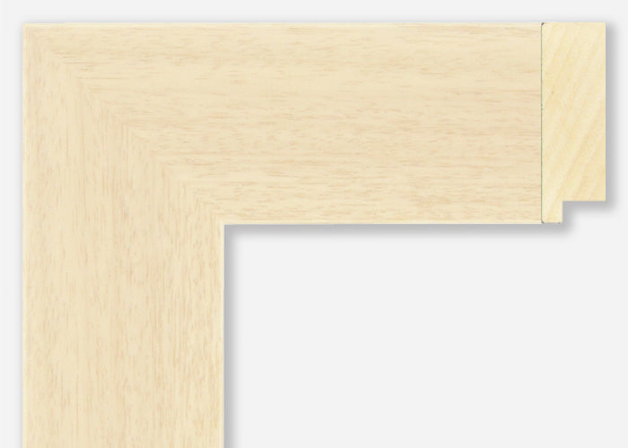 Custom Frame CFSX2430-65