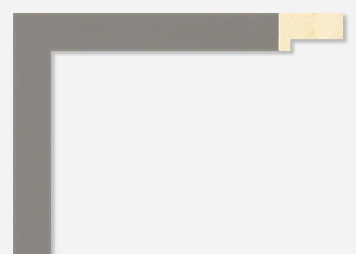 Custom Frame CFSX2440-70