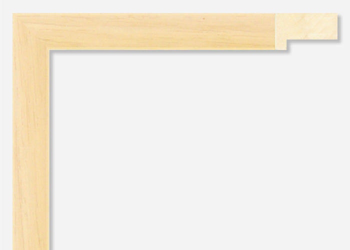 Custom Frame CFSX2440-80