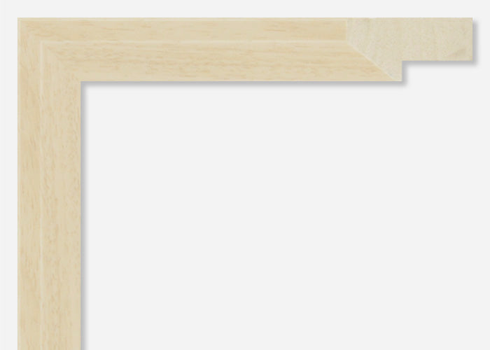 Custom Frame CFSX2445-25