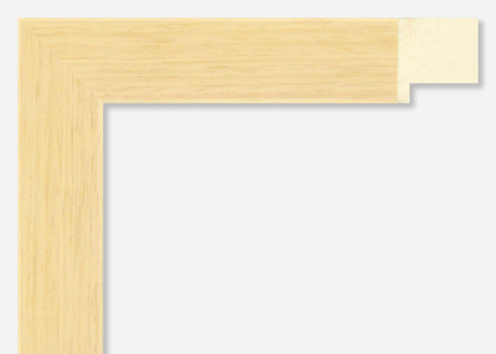 Custom Frame CFSX2445-45