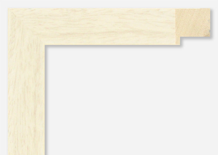 Custom Frame CFSX2445-50