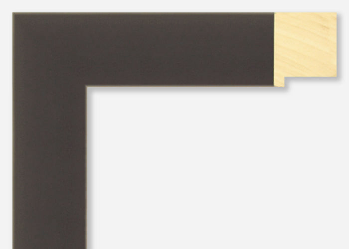 Custom Frame CFSX2445-60