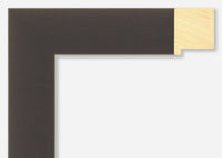 Custom Frame CFSX2445-60