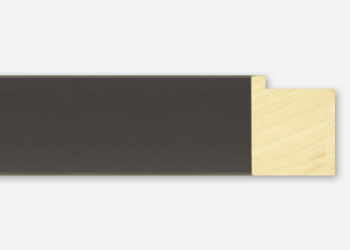 Custom Frame CFSX2445-60