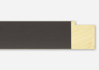 Custom Frame CFSX2445-60