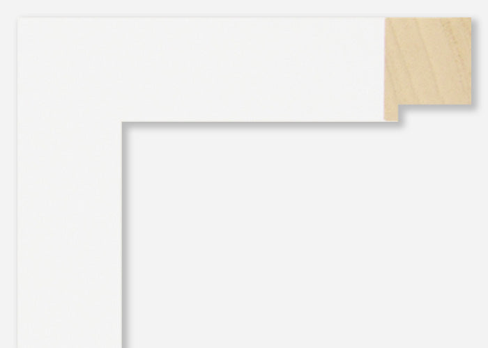 Custom Frame CFSX2445-65