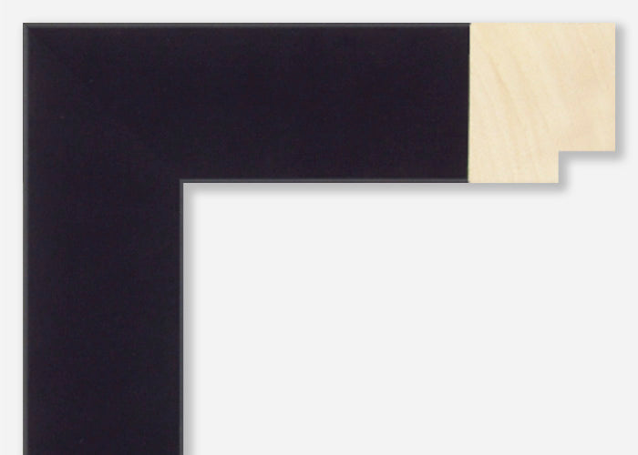 Custom Frame CFSX2445-95