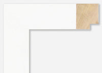 Custom Frame CFSX2450-05