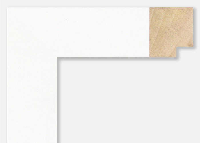 Custom Frame CFSX2450-05