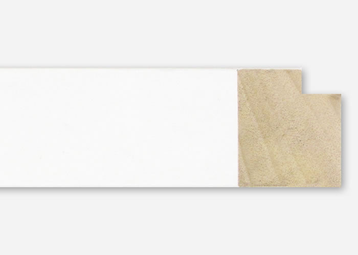 Custom Frame CFSX2450-05