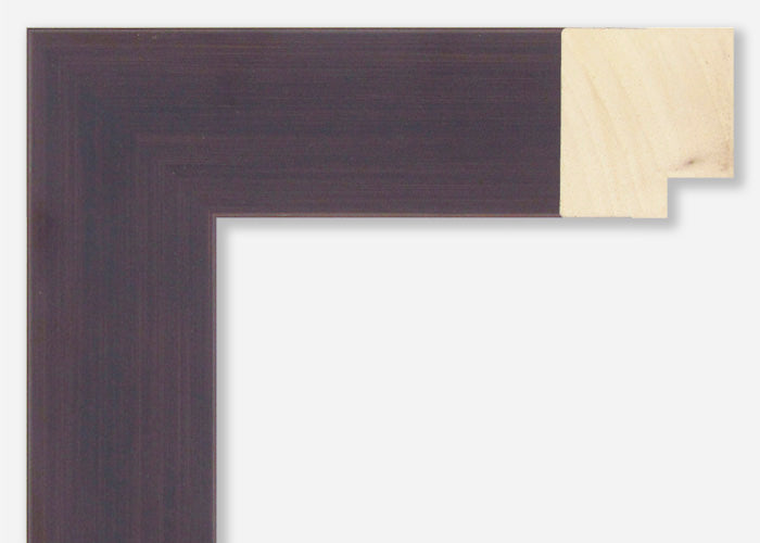 Custom Frame CFSX2450-10