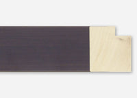 Custom Frame CFSX2450-10