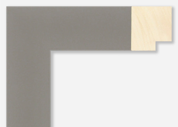 Custom Frame CFSX2450-15