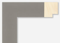 Custom Frame CFSX2450-15