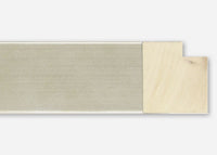 Custom Frame CFSX2450-20