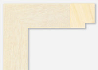 Custom Frame CFSX2450-30