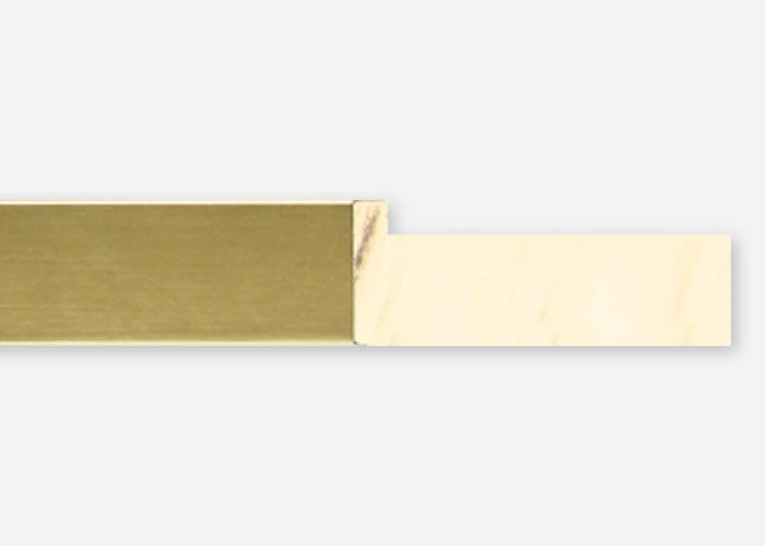 Custom Frame CFSX2450-50